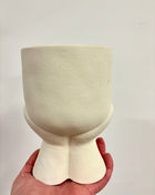 Daydream pot