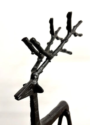 Black reindeer