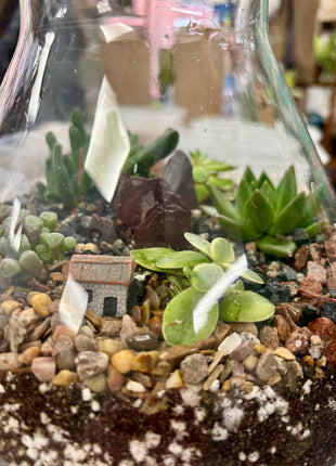 Terrarium workshop (£48)