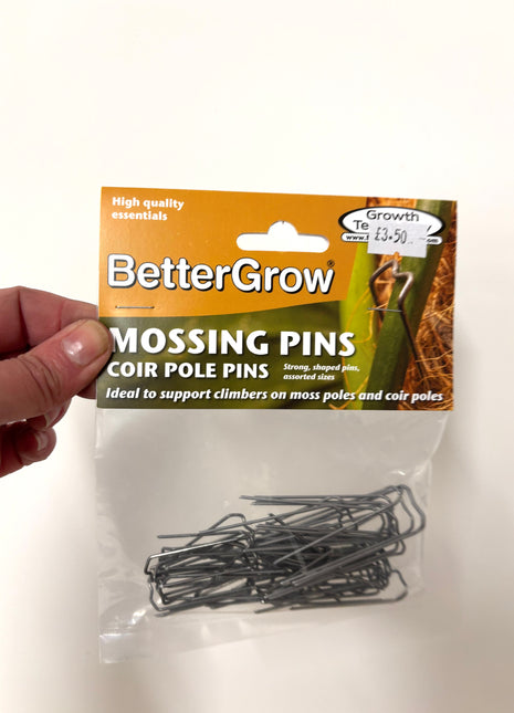 Moss Pins
