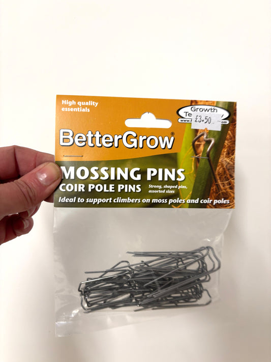 Moss Pins