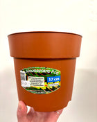 Nursery re-potting pot 17cm