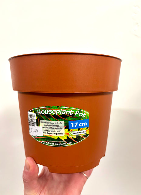 Nursery re-potting pot 17cm
