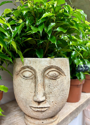 Rustic face planter
