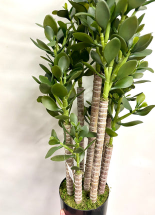 Faux Jade