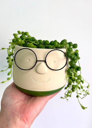 Face pot with glasses small