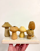Mushroom display