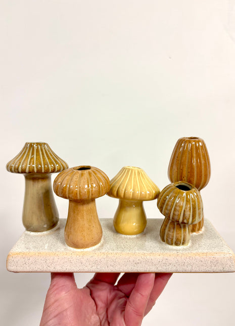 Mushroom display