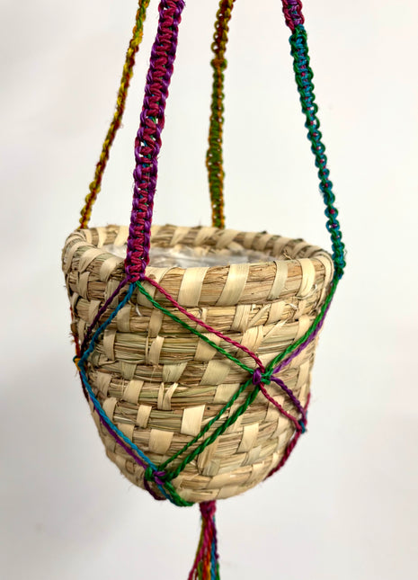 Hanging basket rainbow