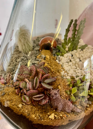 Terrarium workshop