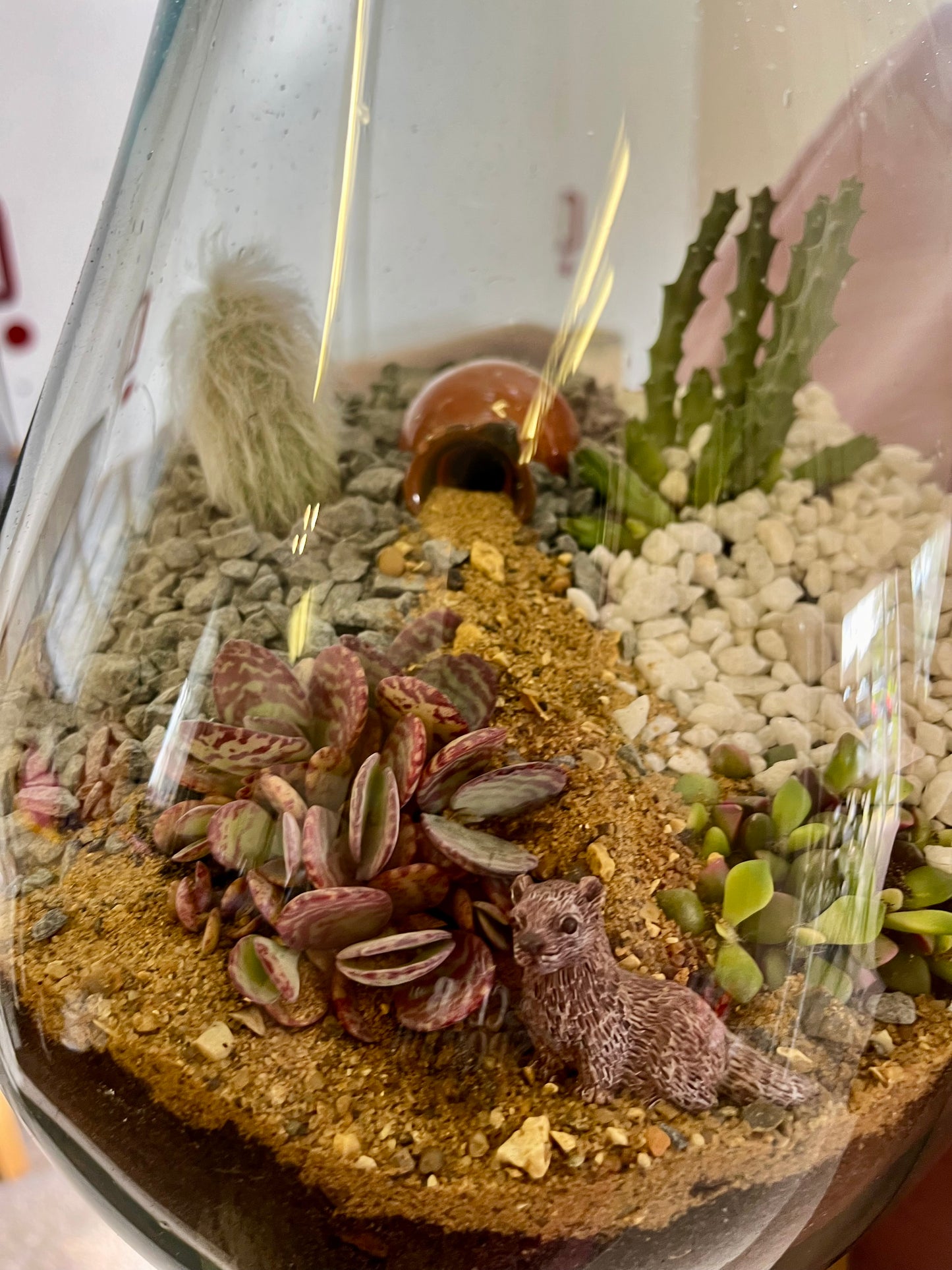 Terrarium workshop