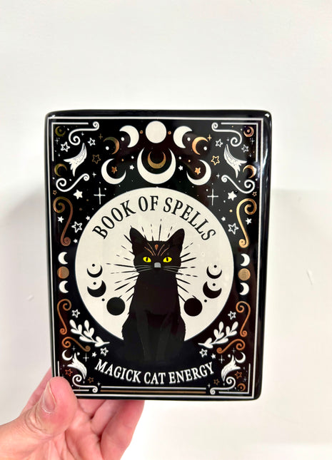 Black cat magic book vase