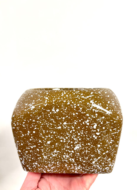 Square brown pot