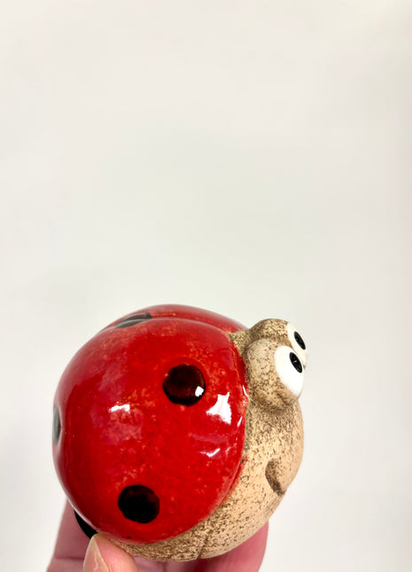 Ladybird decoration