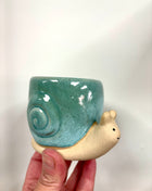 Snail plant pot