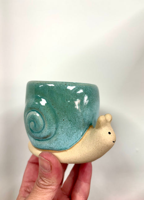Snail plant pot