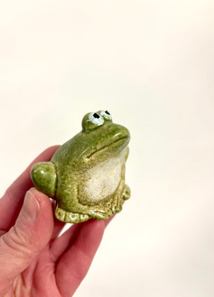 Mini frog