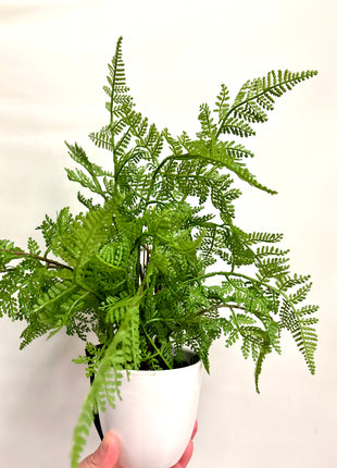 Faux lady fern