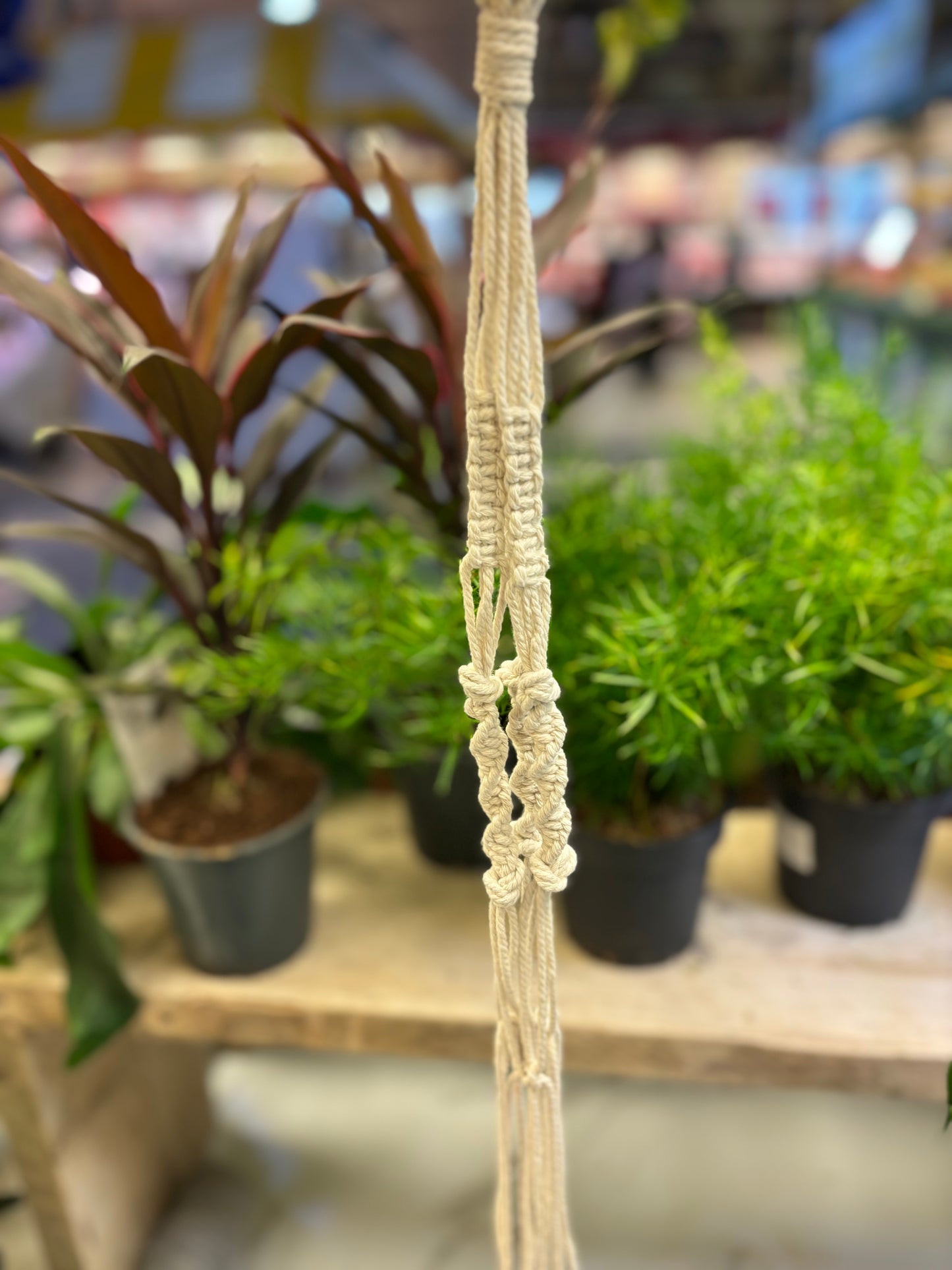 Macrame Plant Hangers