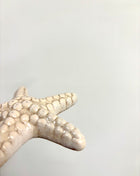 Starfish cream