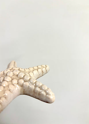 Starfish cream