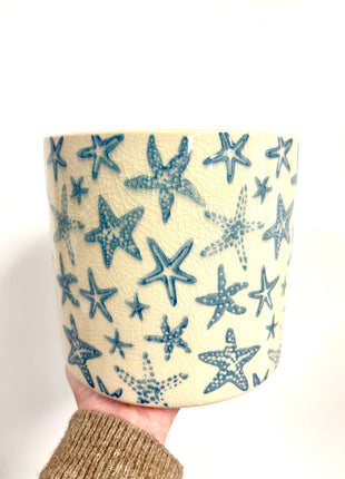 Starfish set of 3 pots