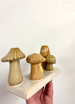 Mushroom display