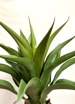 Faux Yucca