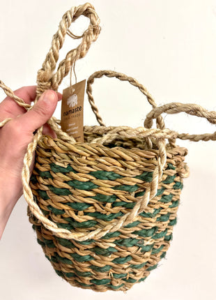 Green hanging basket