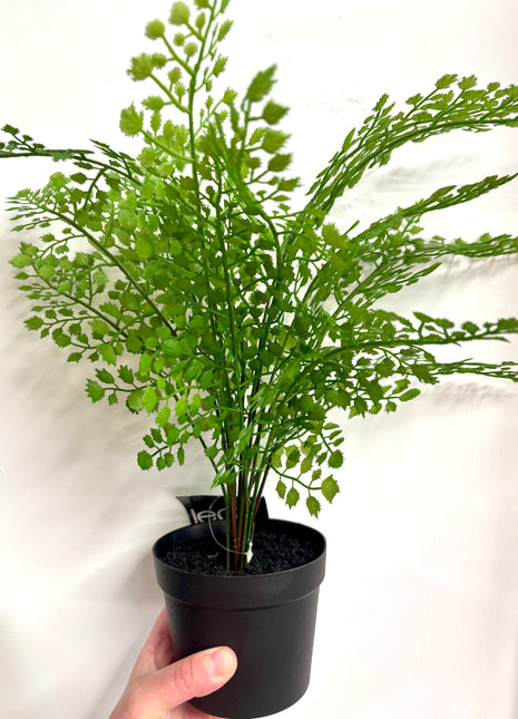 Faux Fern