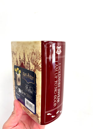 Harry Potter bookvase