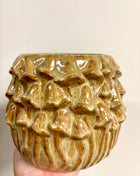 Mushroom planter