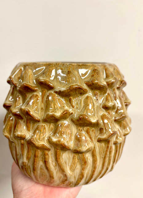 Mushroom planter