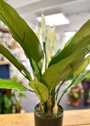 Faux Peace Lily