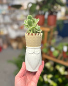 King Vase/planter