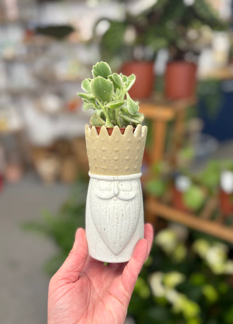 King Vase/planter