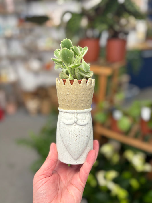 King Vase/planter