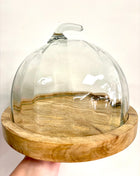 Pumpkin cake plate glass dome
