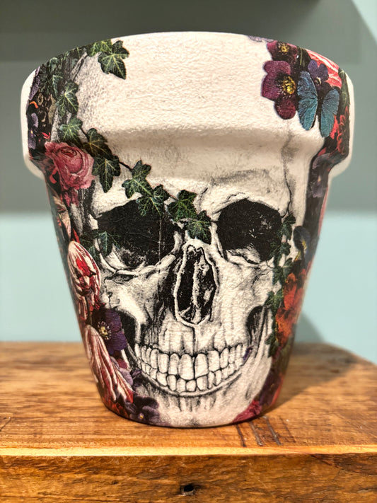 Skull Pot