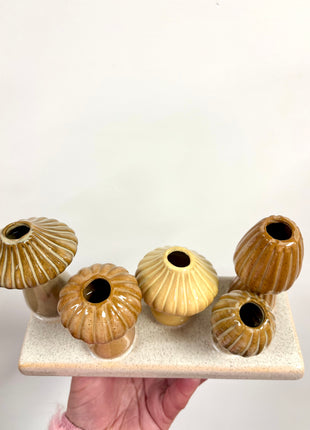 Mushroom display