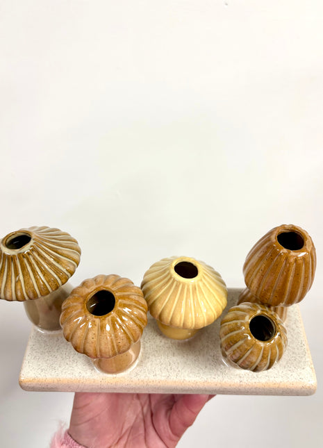 Mushroom display