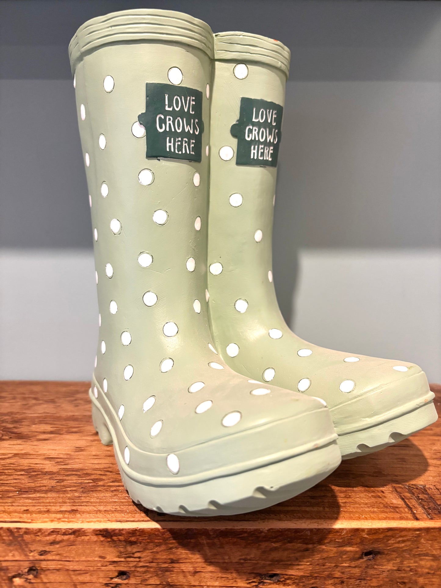 Welly boot planters