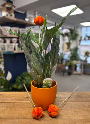 Orange pot