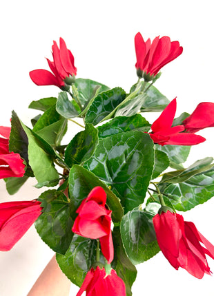 Faux red cyclamen