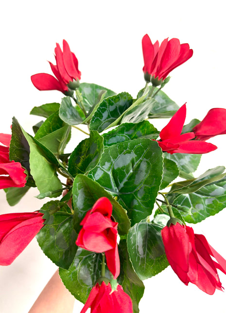 Faux red cyclamen