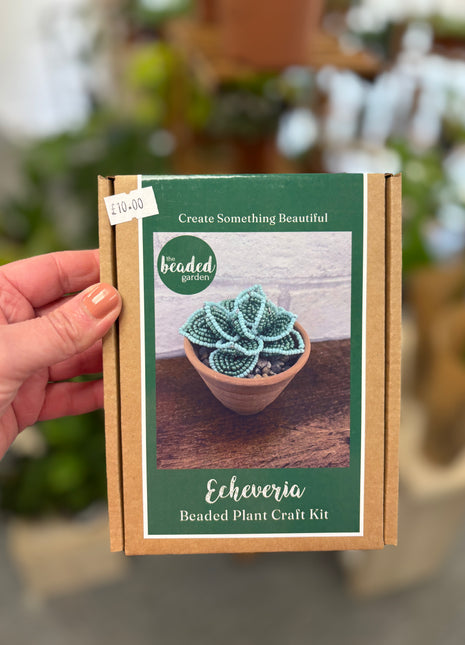 Beaded craft kit Echeveria Succulent