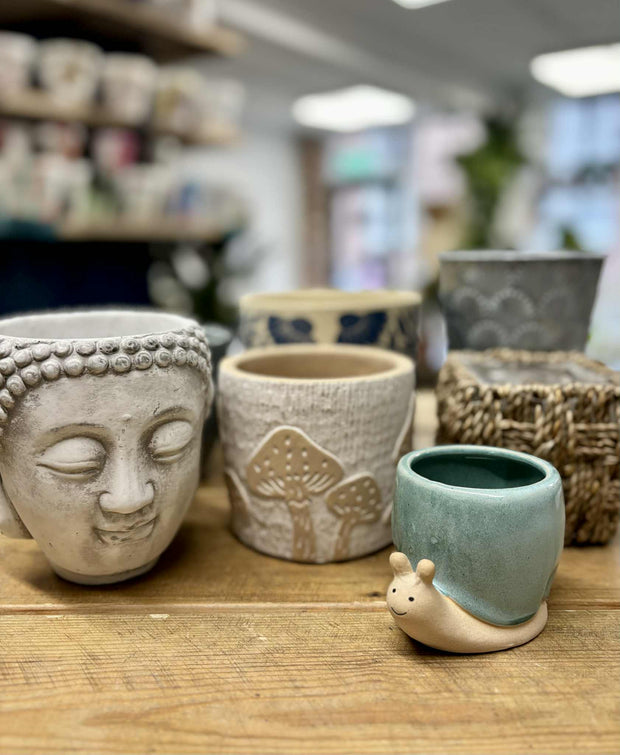 Banner image for: <h2>POTS FOR YOUR PLANTS</h2>
