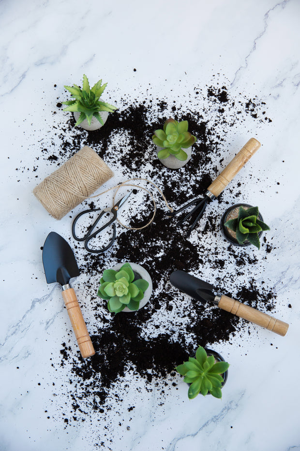 Banner image for: <h2>PLANT CARE</h2>