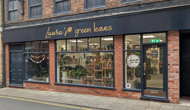 LOCAL TO LOUTH