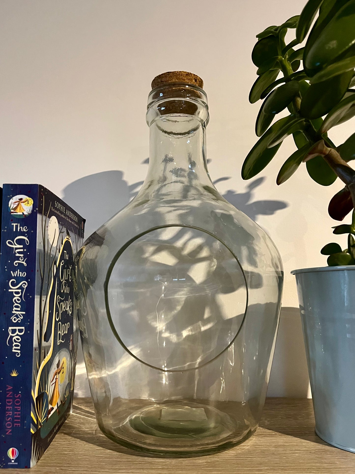 Bottle Terrarium